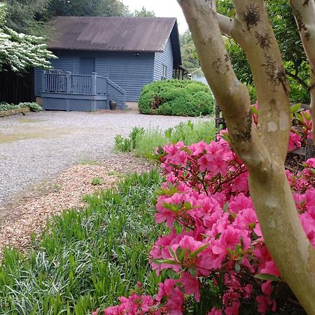 Restored1850S Log Cabin, With Gazebo And Gardens! 1 Mile To Downtown Weaverville エクステリア 写真