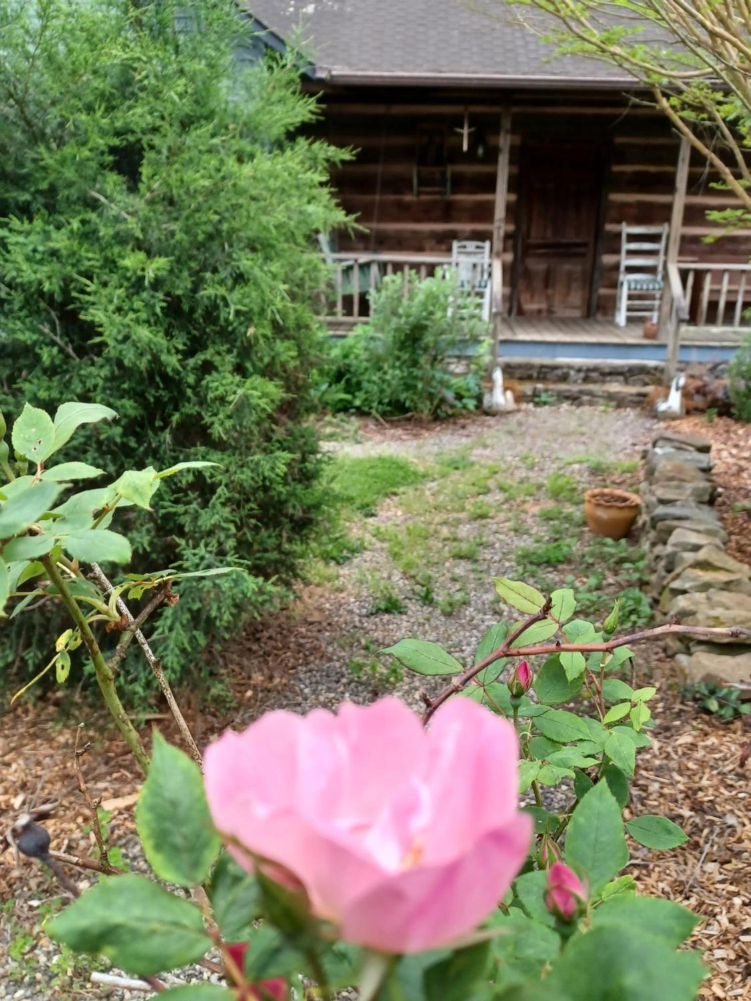 Restored1850S Log Cabin, With Gazebo And Gardens! 1 Mile To Downtown Weaverville エクステリア 写真