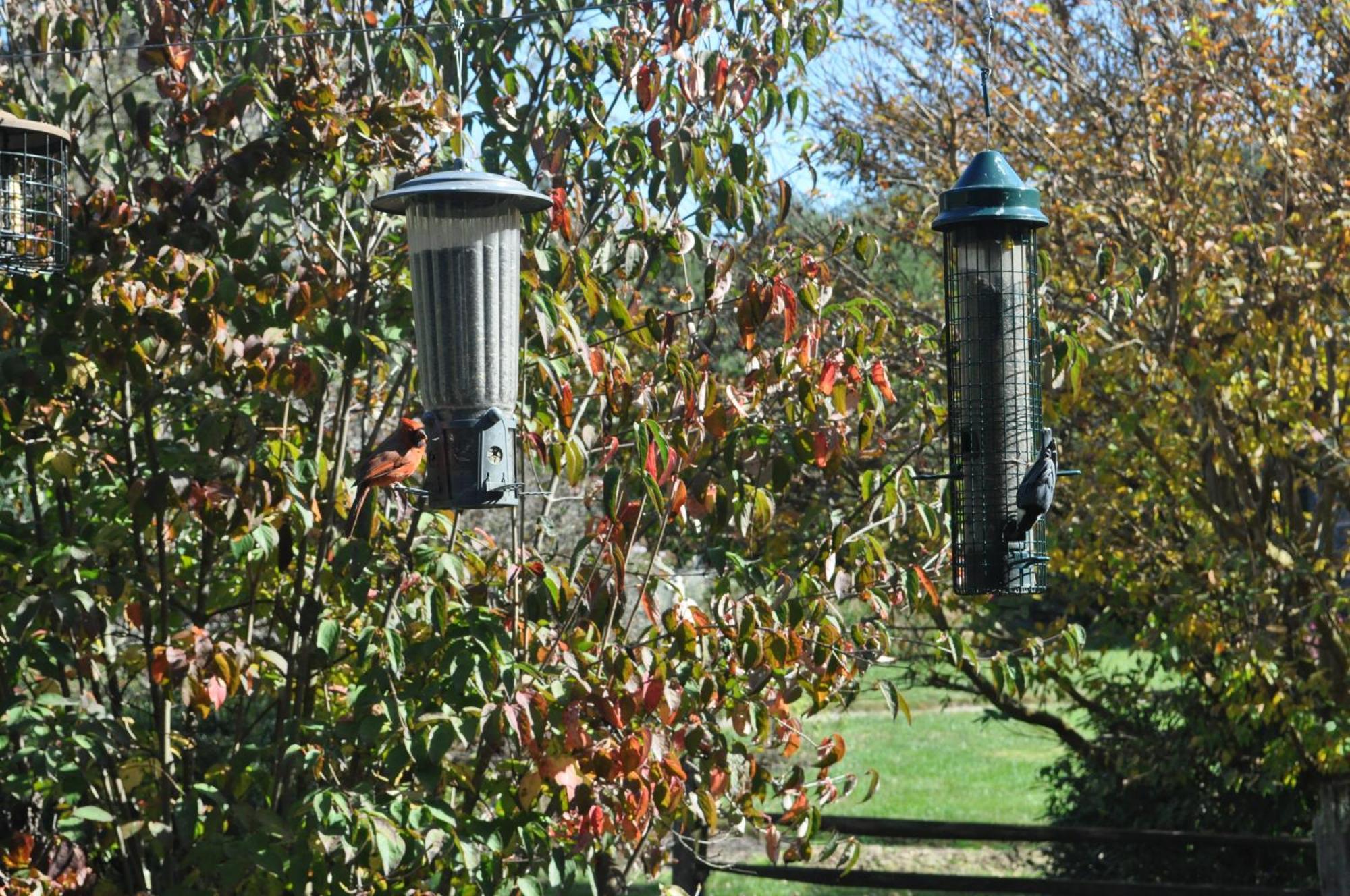 Restored1850S Log Cabin, With Gazebo And Gardens! 1 Mile To Downtown Weaverville エクステリア 写真